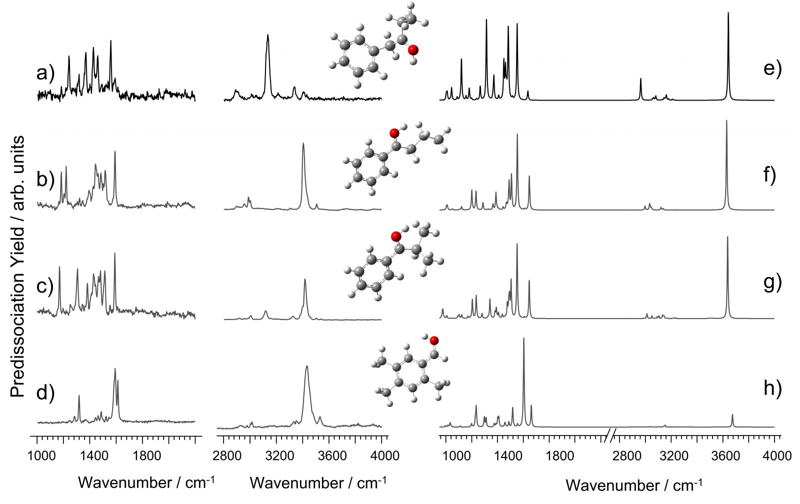Vibrational spectra of structural isomers of C10H12O+H+